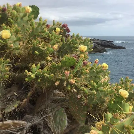 Wonderful View Lejlighed Costa Adeje (Tenerife)